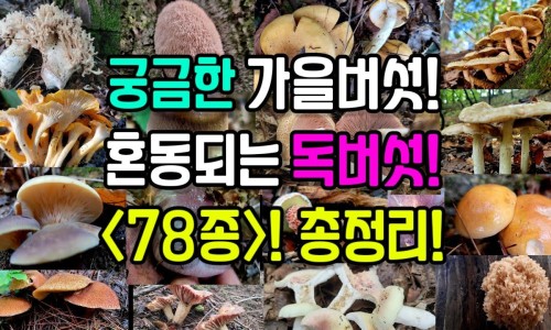 红胎记激光有效果吗网- 红胎记激光有效果吗知识,分享激光治疗红胎记有副作用吗